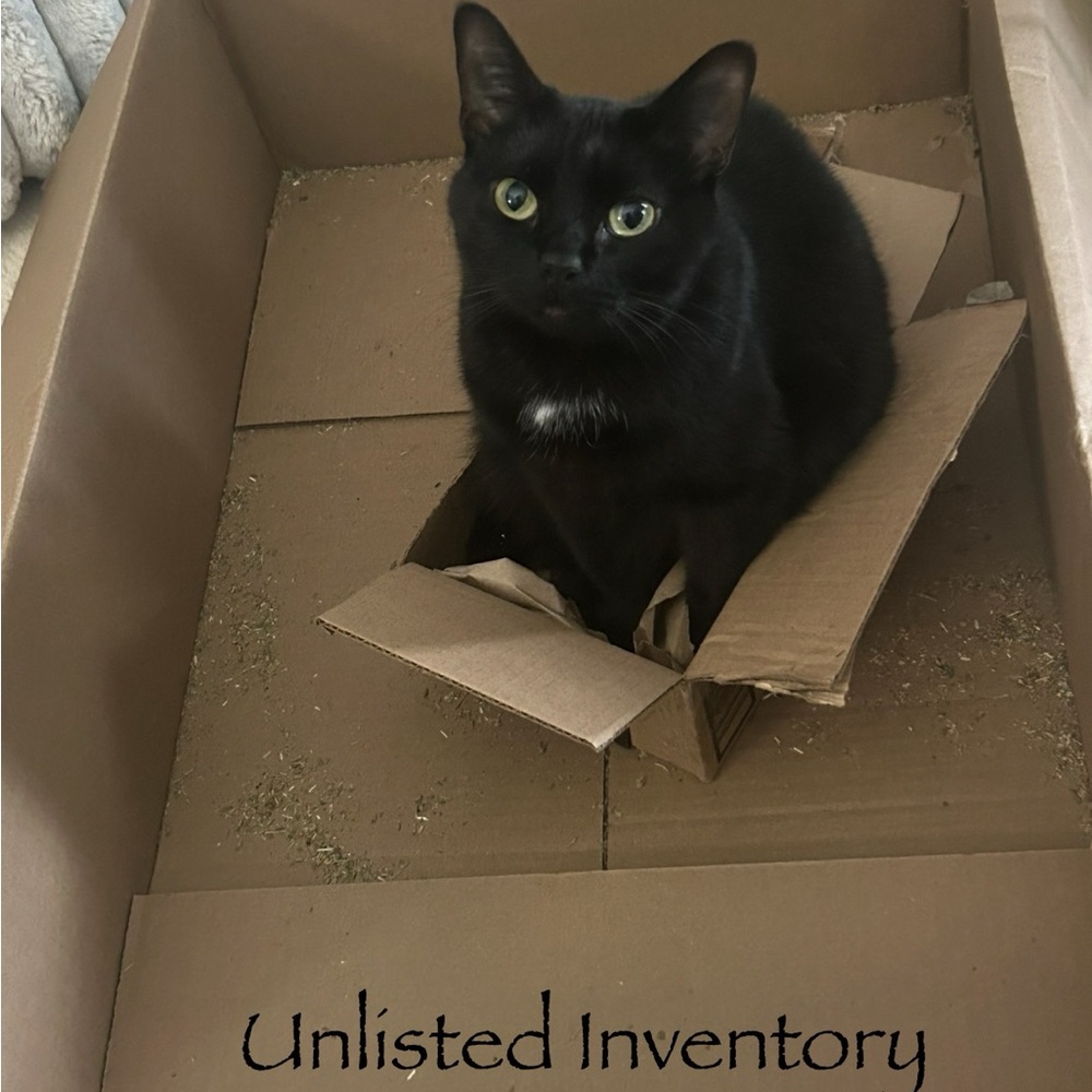 Unlisted Item